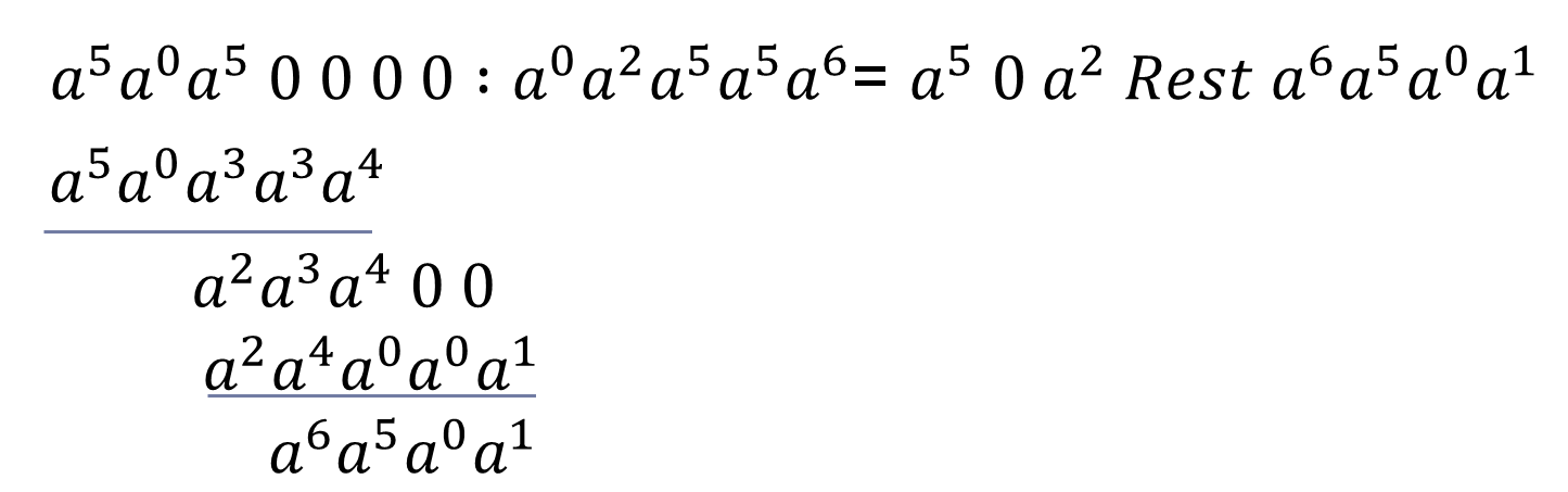 Polynomdivision zur Berechnung der Korrektursymbole